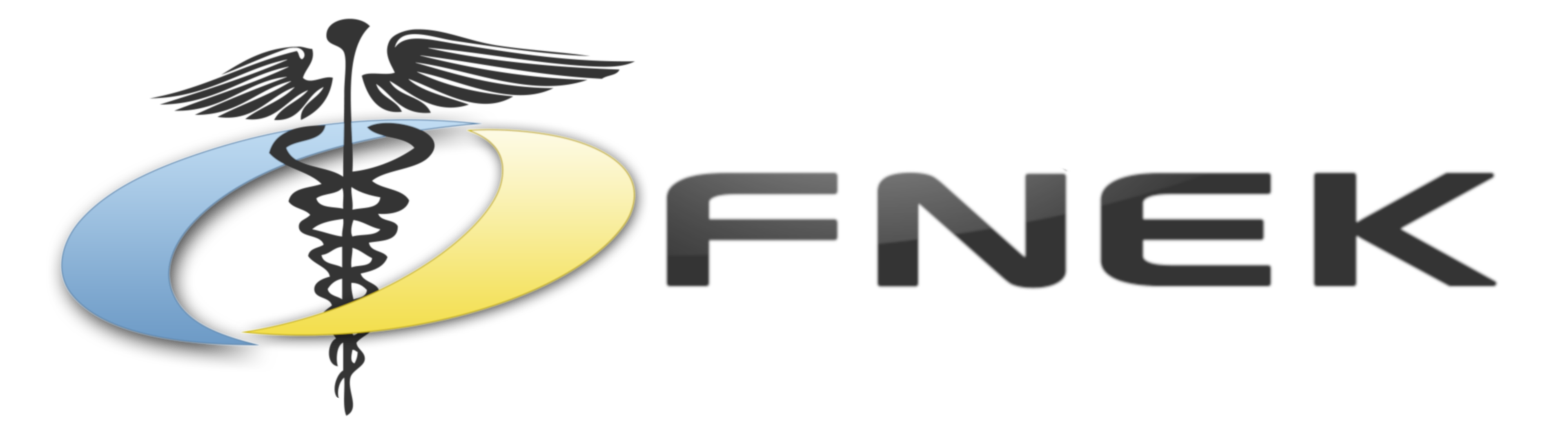 Logo FNEK